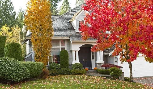 Fall leaves in front of house